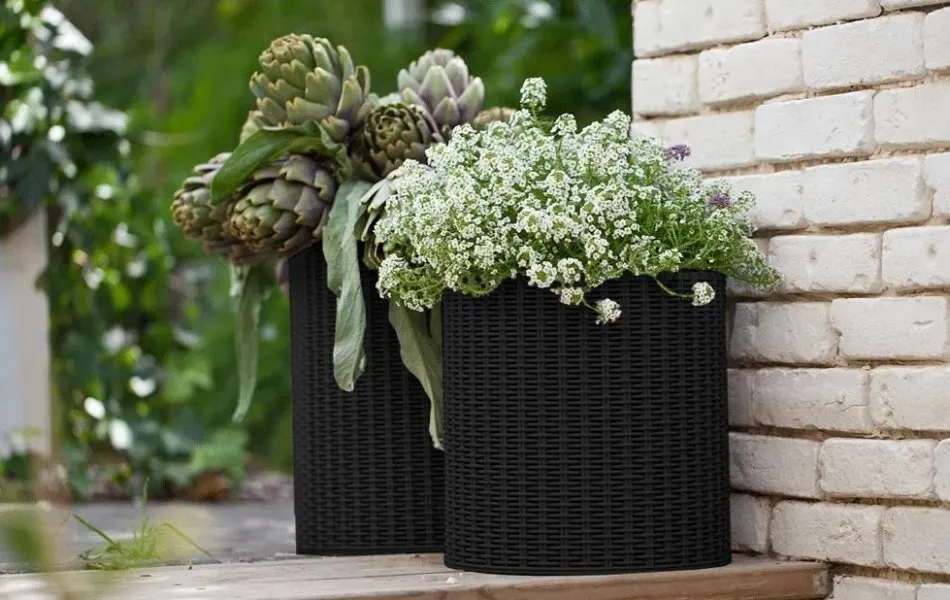 Hot Cylinder Planter Set of 3 - Black Planters