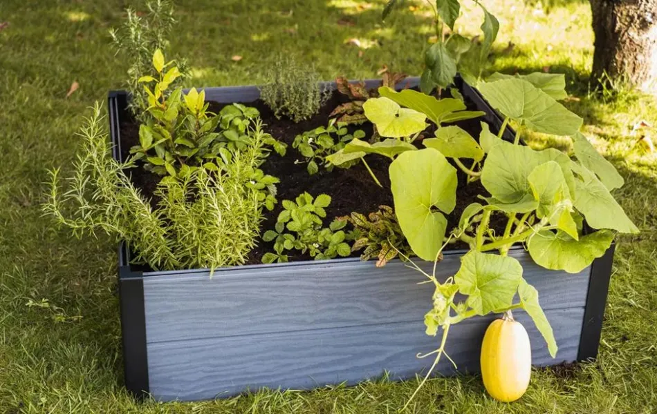 Best Maple Raised Garden Bed - Graphite Garden Beds