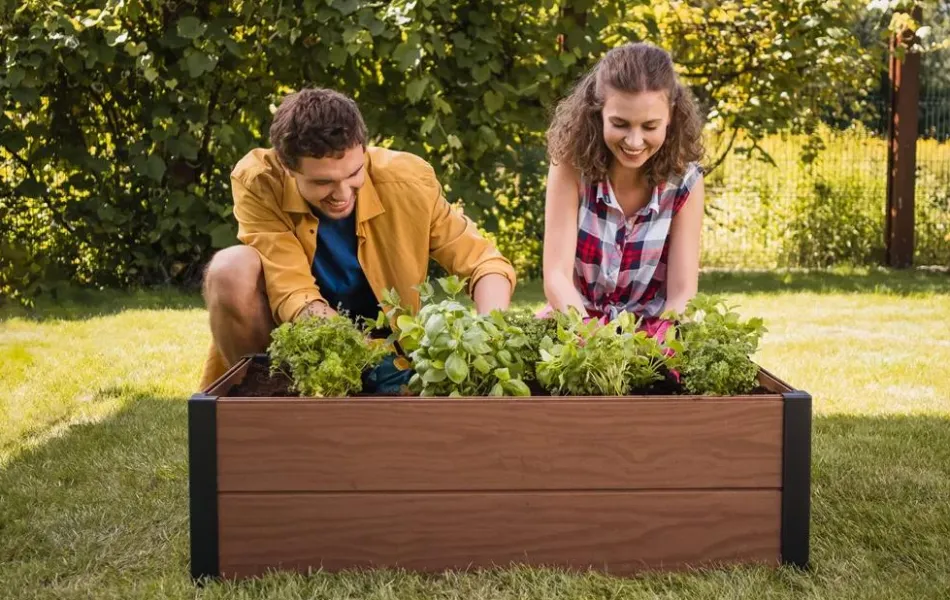 Discount Maple Raised Garden Bed - Brown Garden Beds